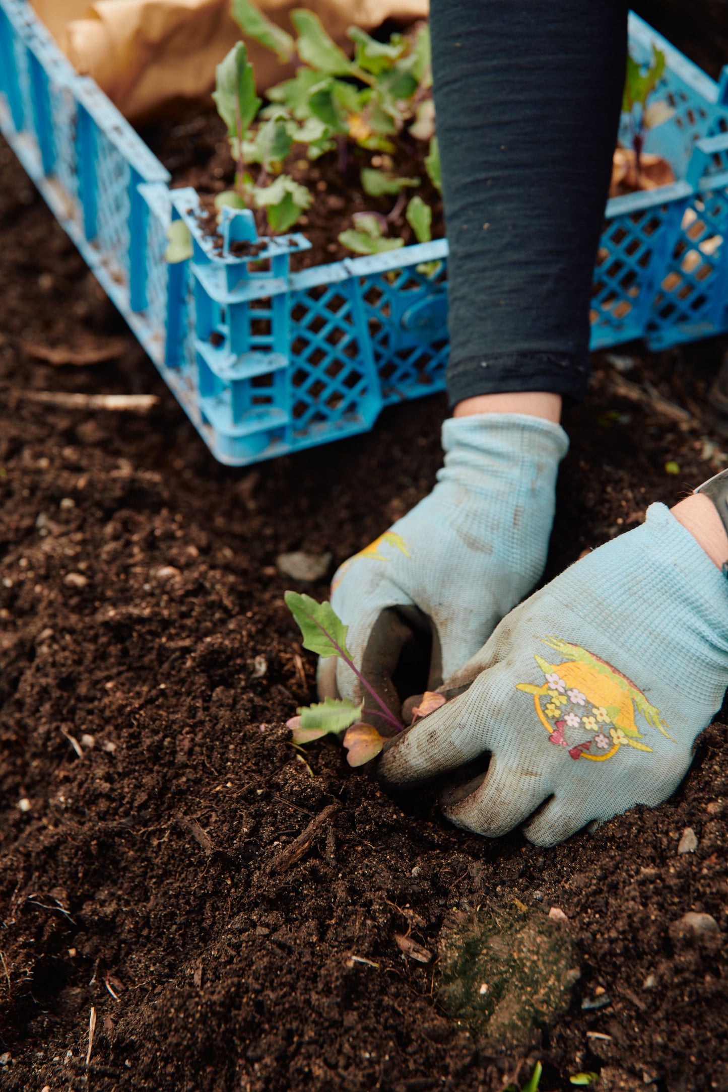 Kurs i forkultivering / 25. februar / Fåbro Hage