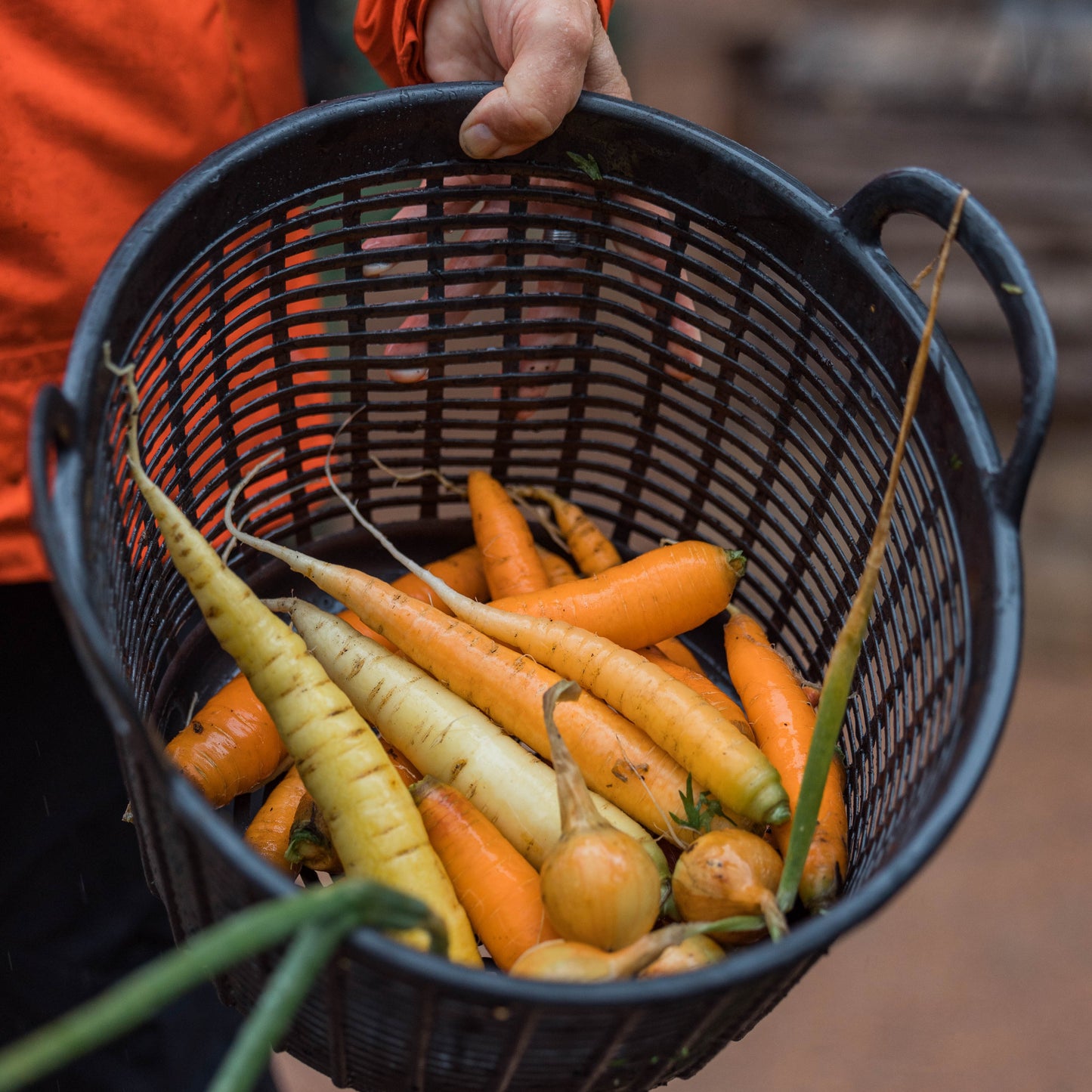 Kurs i å lage kjøkkenhage / 25. mars/ Fåbro Hage