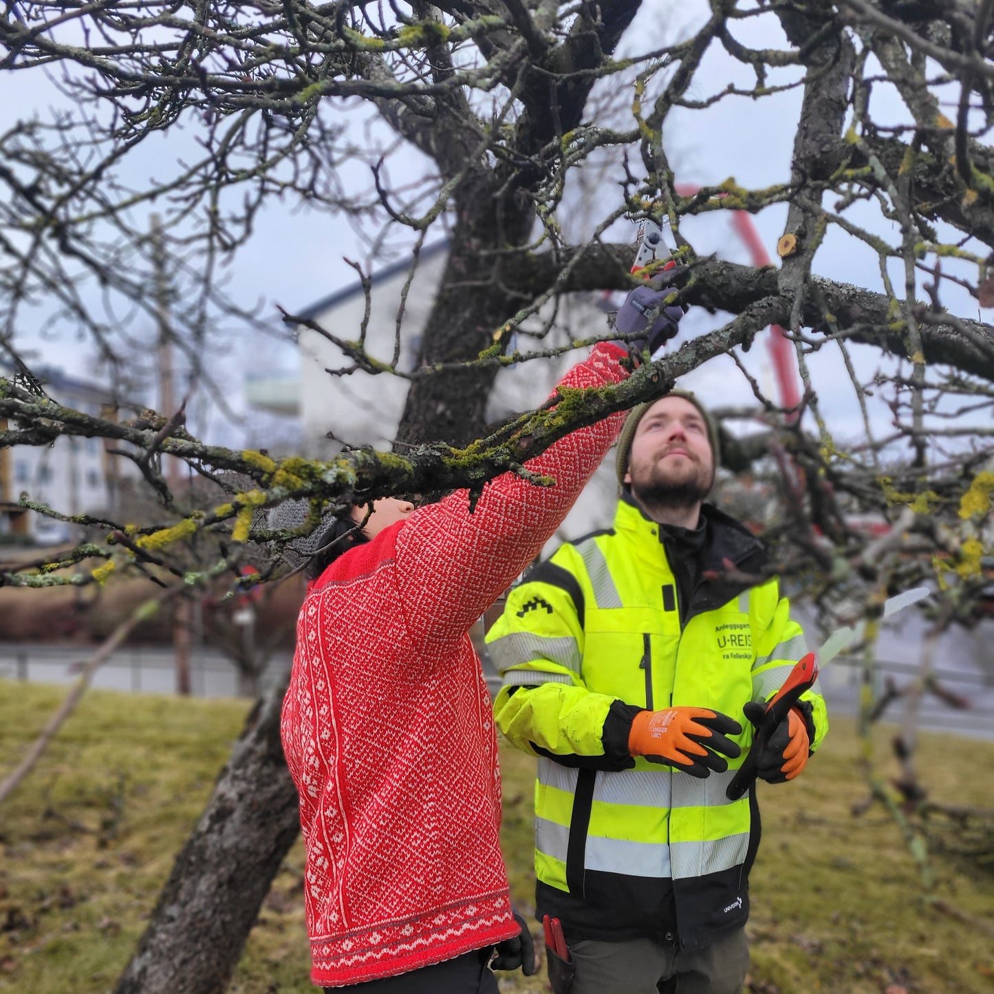 Kurs i beskjæring / 20. mars / Fåbro Hage