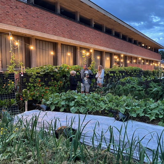 Kurs i å lage kjøkkenhage / 26. mars/ Adamstuen