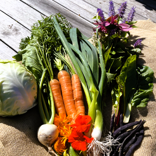 Kurs: planlegg din hage / 24. februar / Økern Portal