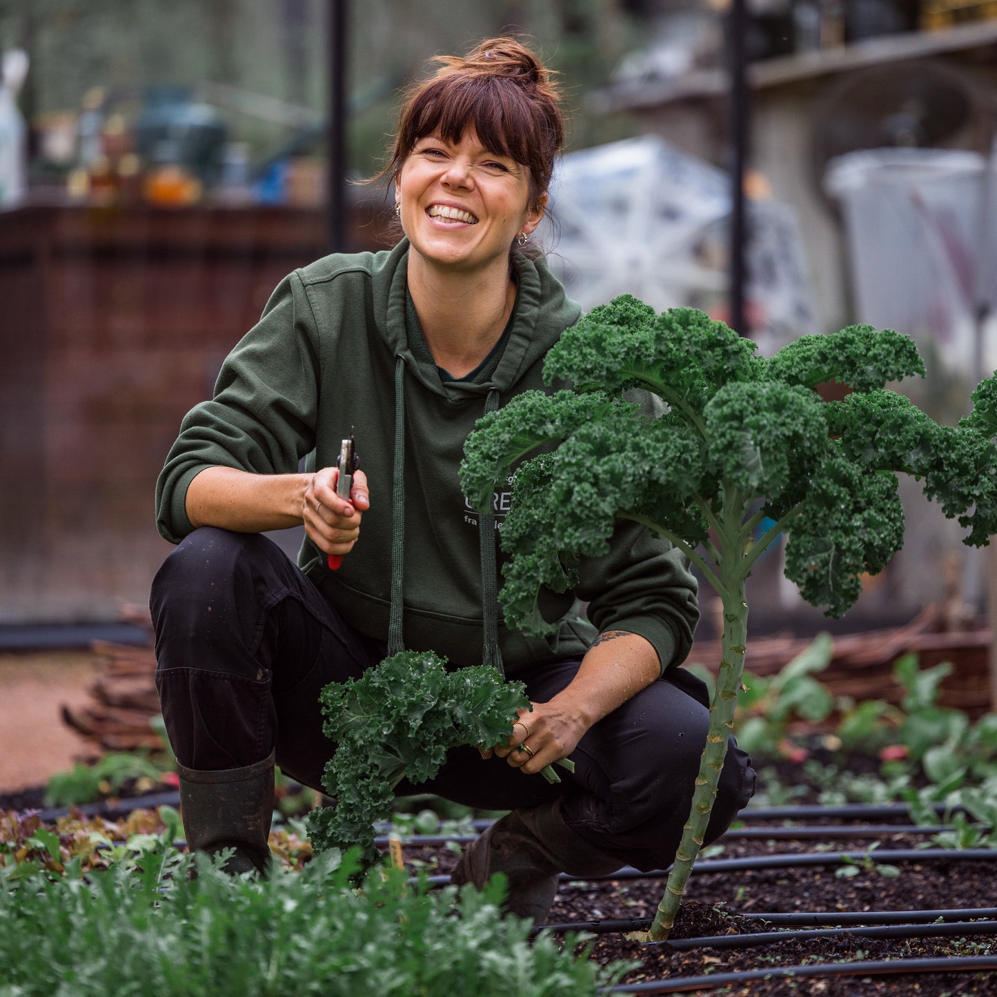 Høst i kjøkkenhagen / 8. oktober / Fåbro Hage