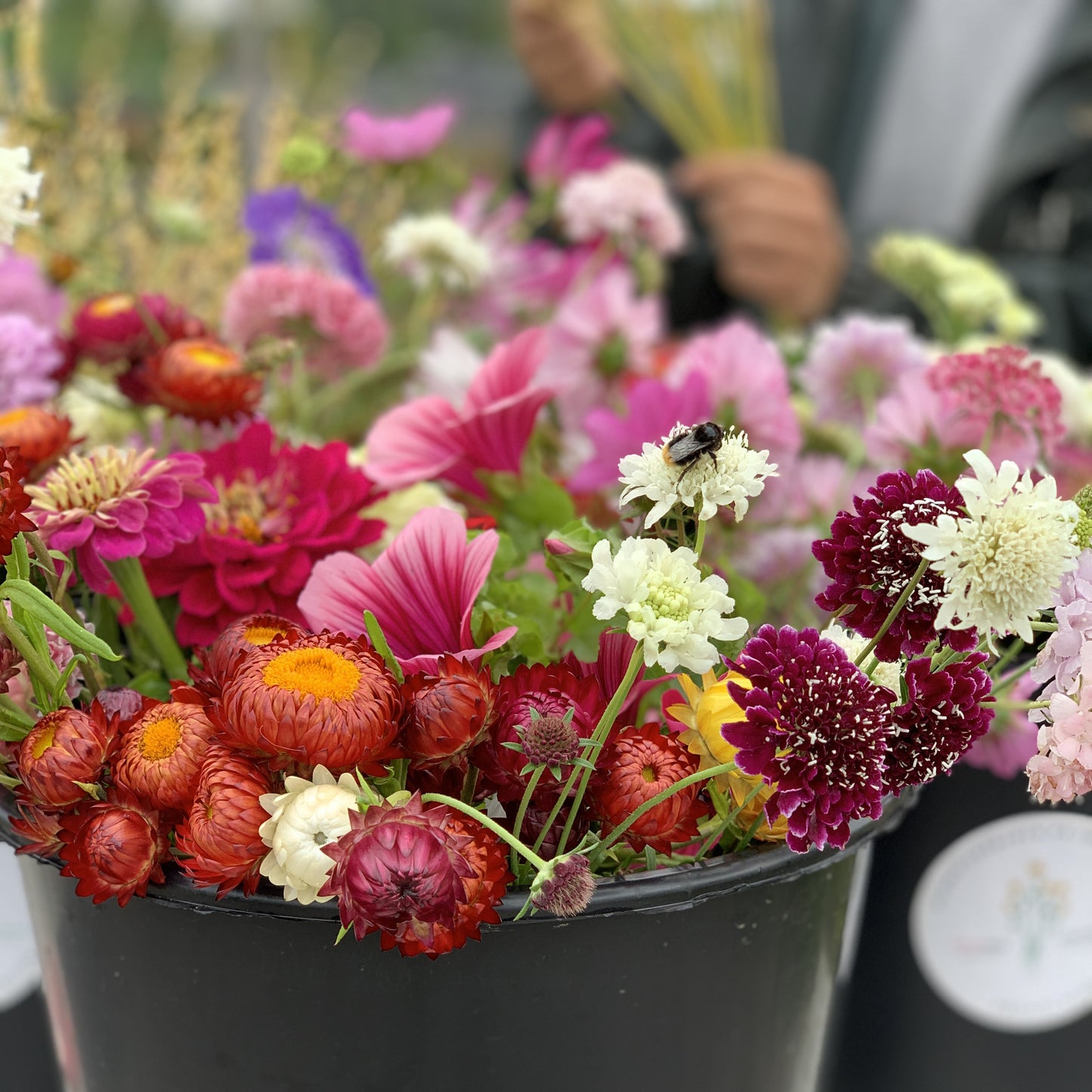 Blomsterbøtte / Henting fredager