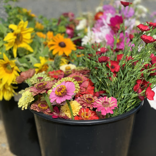 Blomsterbøtte / Henting fredager