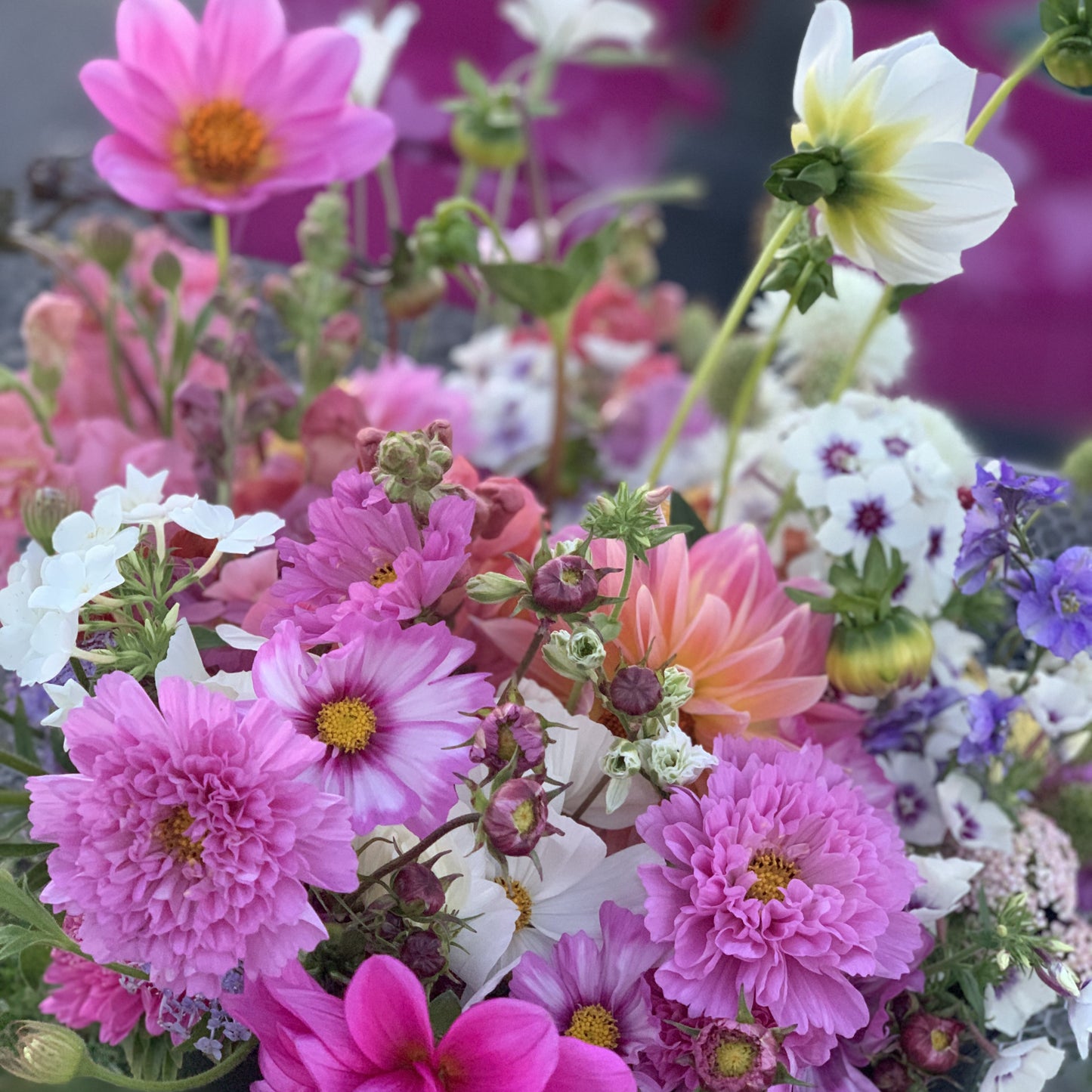 Blomsterbøtte / Henting fredager