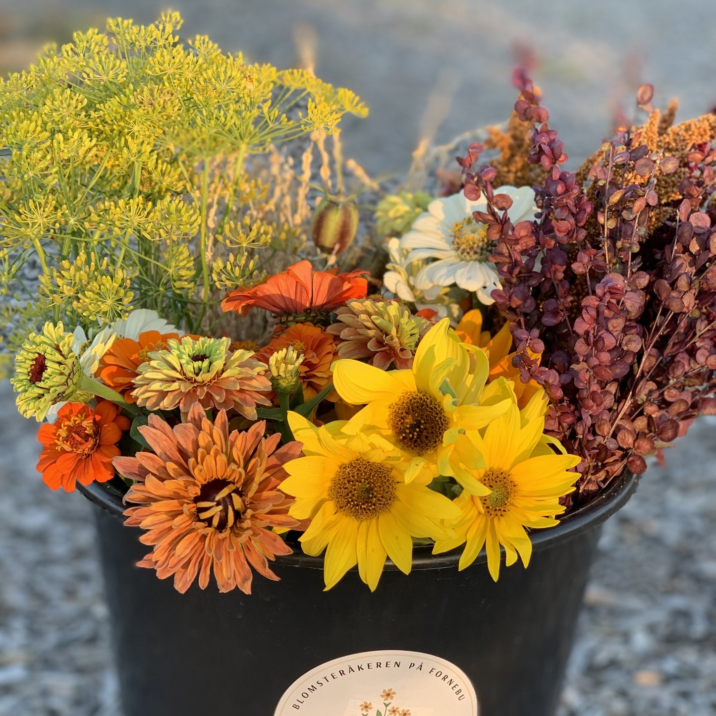 Blomsterbøtte / Henting fredager