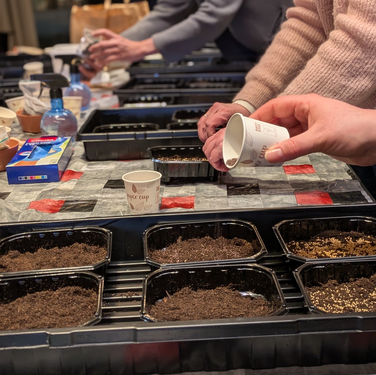 Kurs i mikrogrønt / 20. januar/ Økern Portal