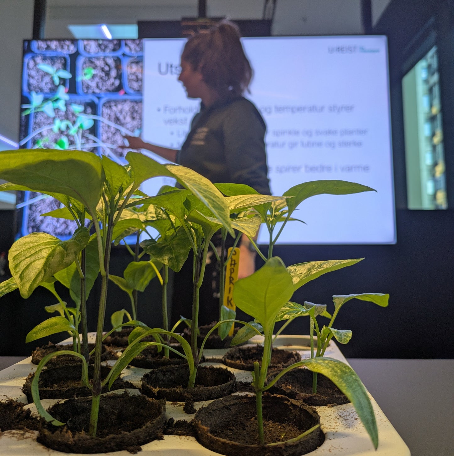 Kurs i forkultivering / 3. mars / Økern Portal