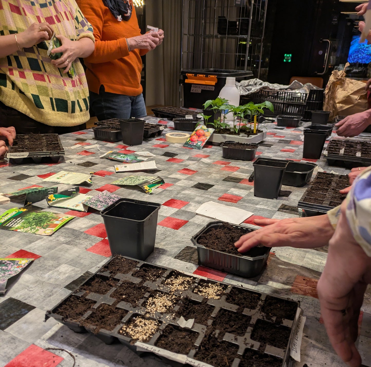 Kurs i forkultivering / 3. mars / Økern Portal