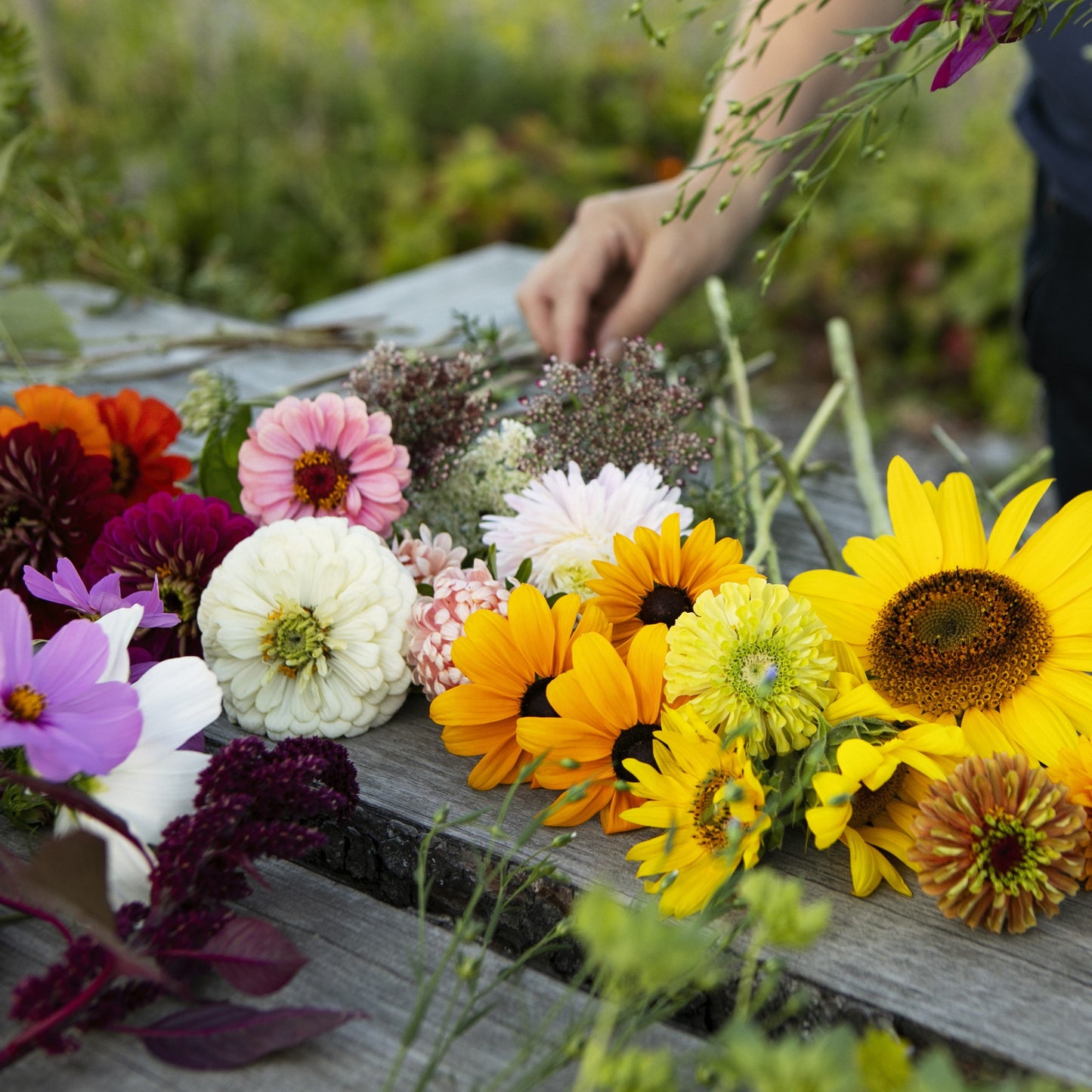 Lag en blomsterkrans til St. Hans / 21. juni / Fåbro Hage