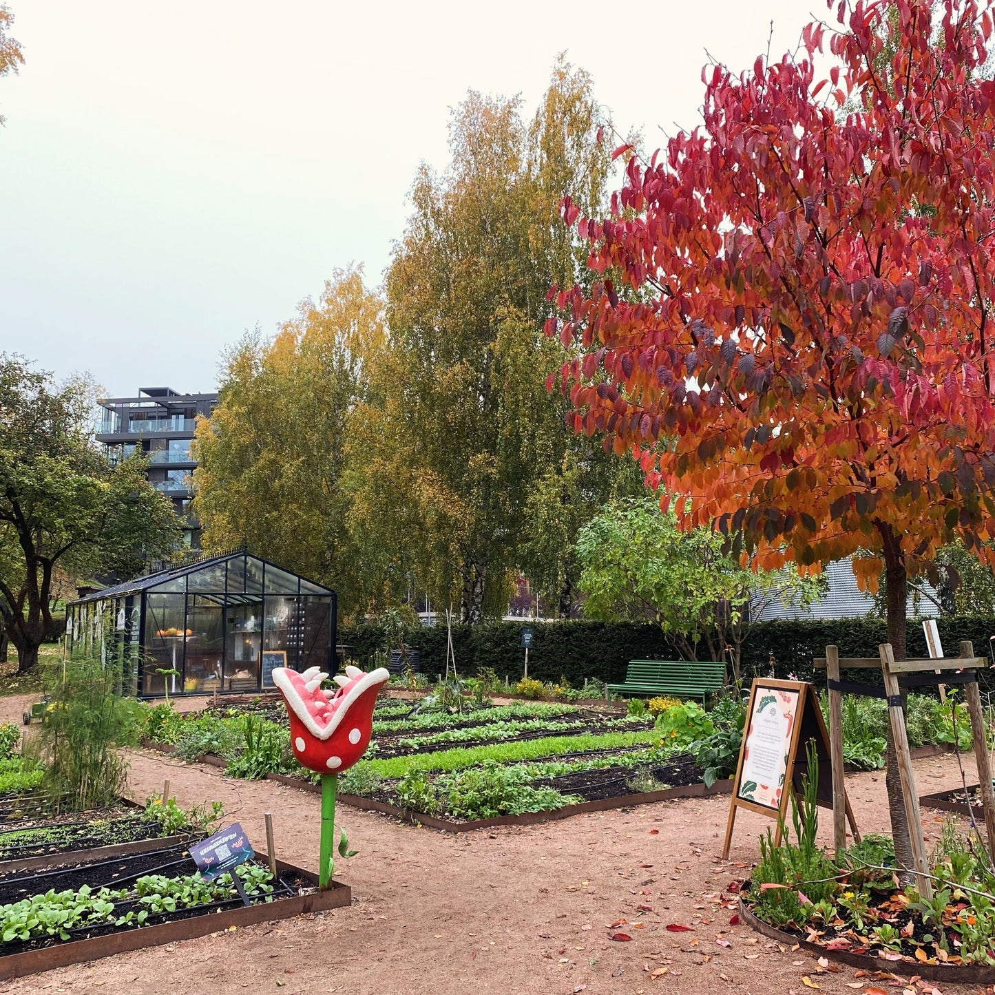 Høst i kjøkkenhagen / 8. oktober / Fåbro Hage