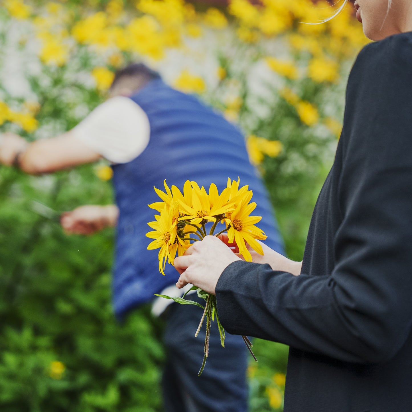 Lag en blomsterkrans til St. Hans / 21. juni / Fåbro Hage