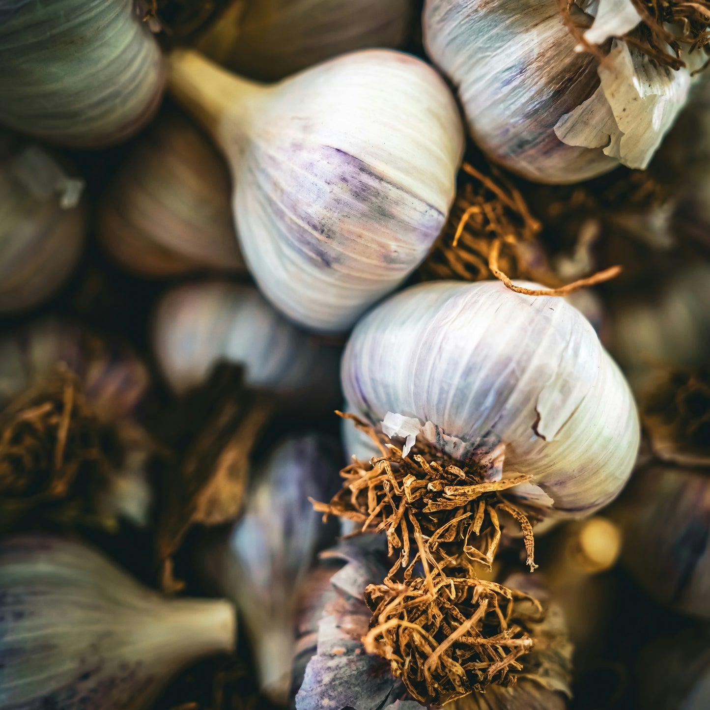 Høst i kjøkkenhagen / 8. oktober / Fåbro Hage